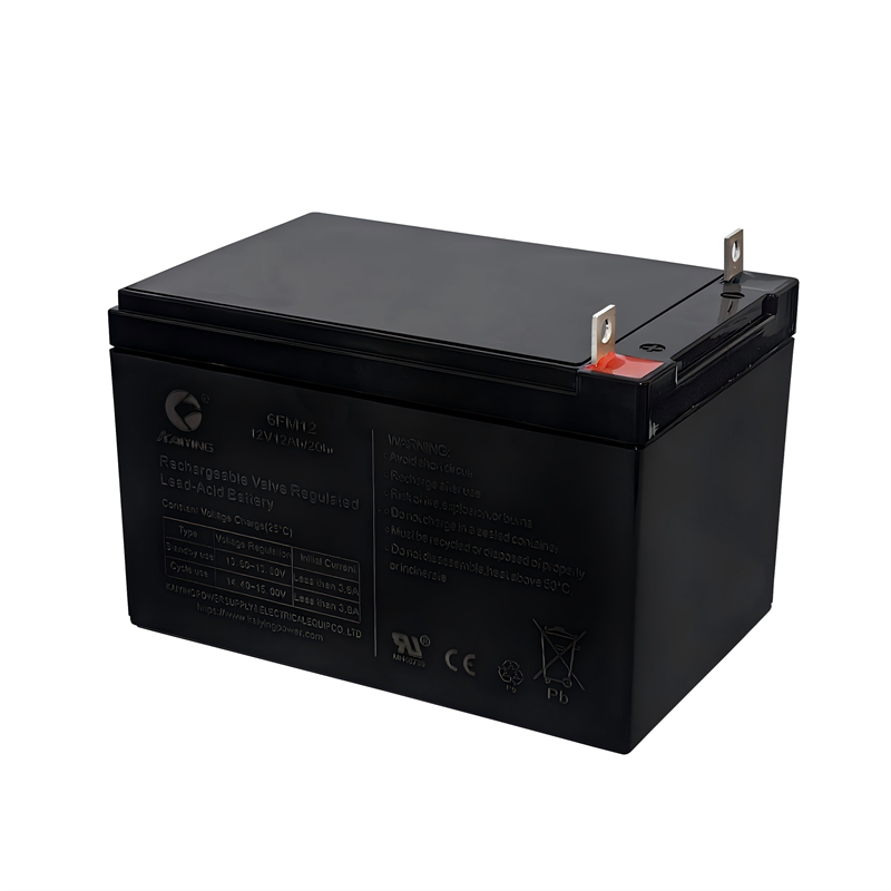 6FM12 Battery