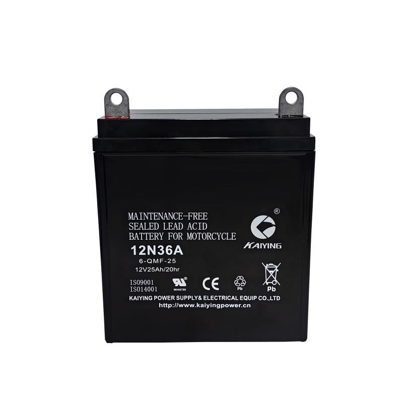 12N36A-BS Battery