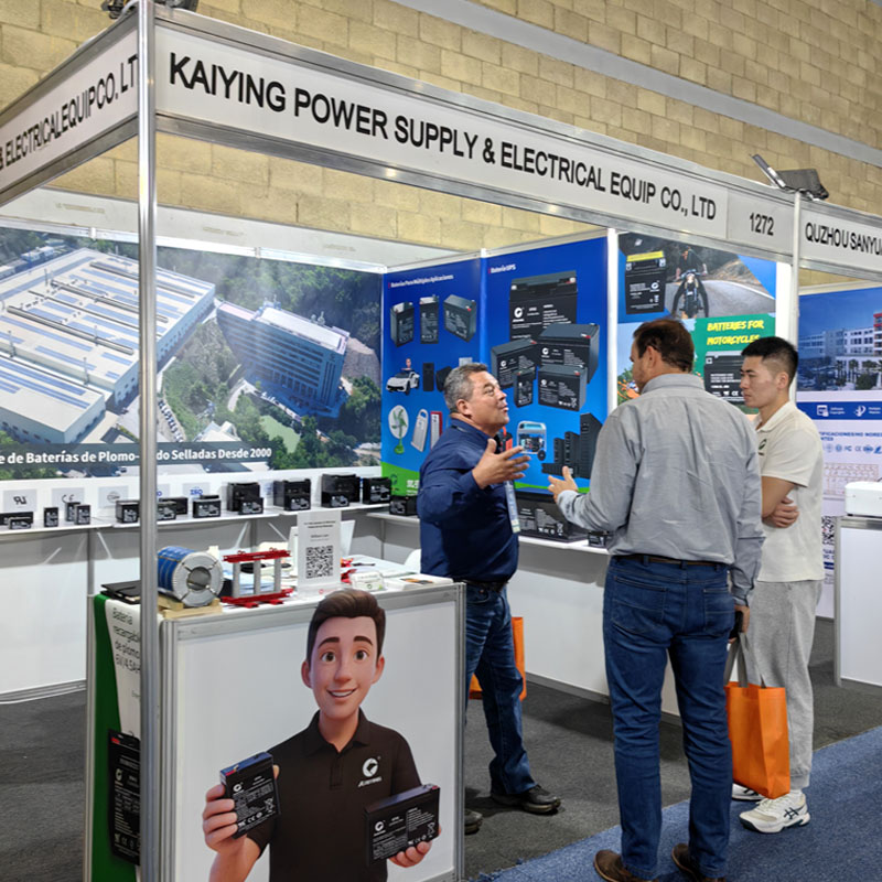 Expo Electrica Battery